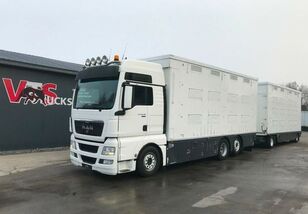 MAN TGX 26.480 6X2 Állatszállító + pótkocsi + livestock trailer