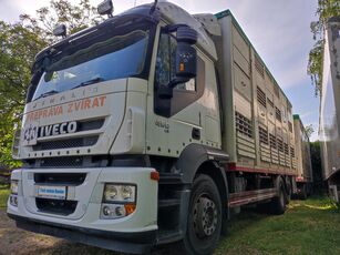 IVECO AT 260S45 livestock truck + livestock trailer