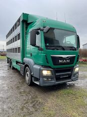 MAN TGS 26.440 livestock truck
