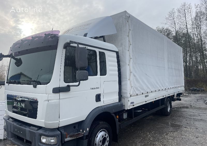 MAN TGL 12.290 tilt truck