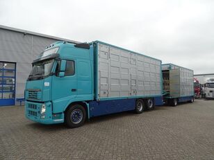 VOLVO FH13-540 6x2 4 emeletes élőállatszállító + pótkocsi livestock truck + livestock trailer